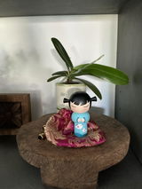 Anoniem review photo