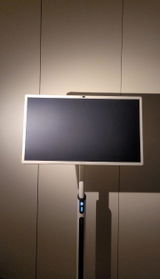 Marek review photo