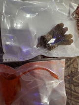 Rohan S. review photo