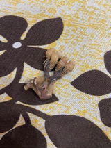 Priya S. review photo