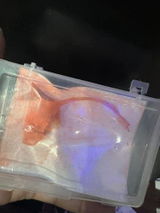 Priya S. review photo