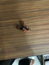 Rohit S. review photo
