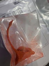 Piyush R. review photo