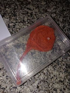 Review picture