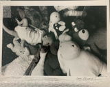 Anonymous review photo