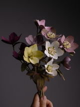 Madalena Checoni review photo