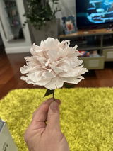 Anonymous review photo