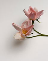 Madalena Ceccon review photo