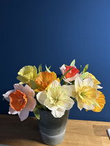 Iris review photo