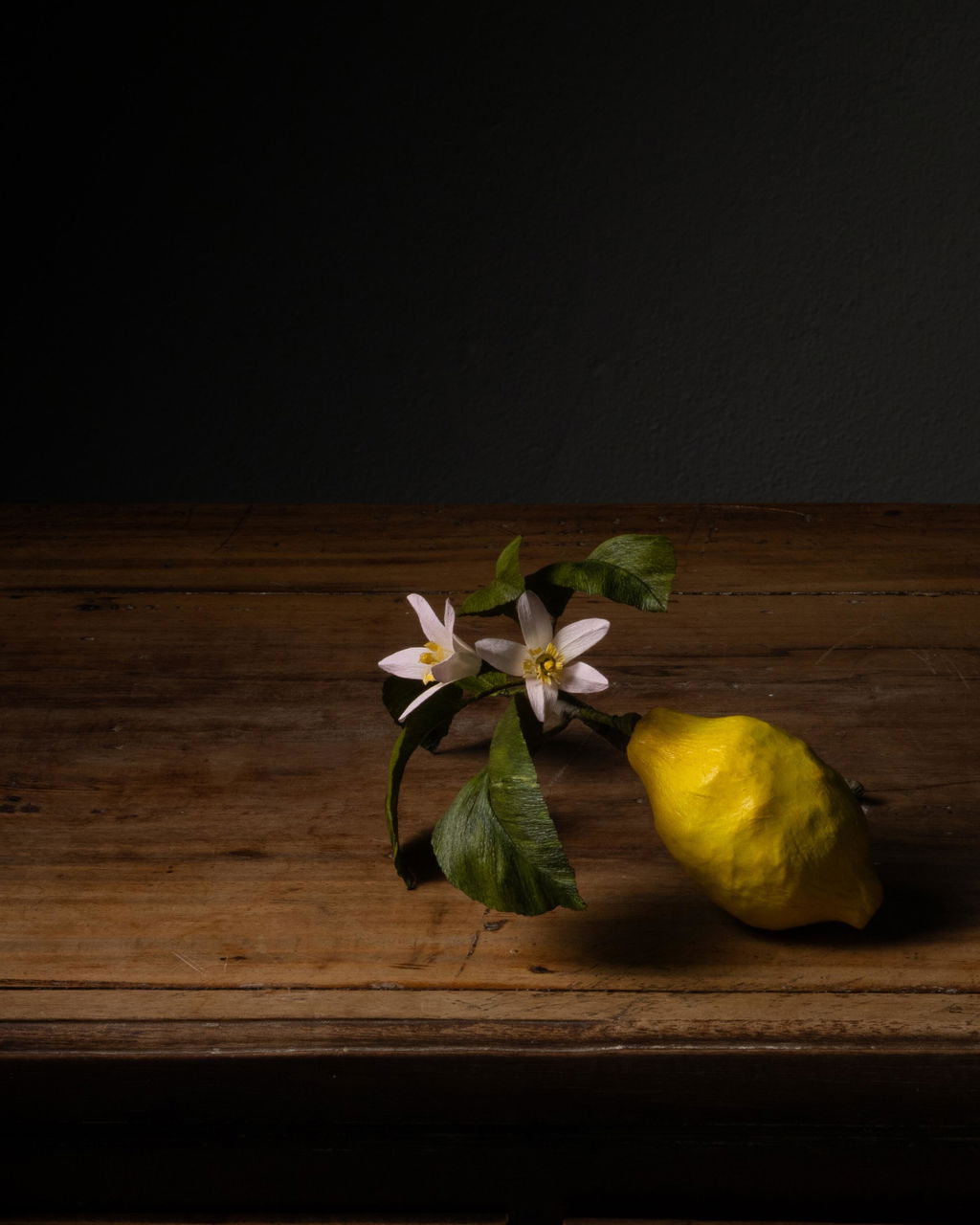 Citron opskrift - let øvet