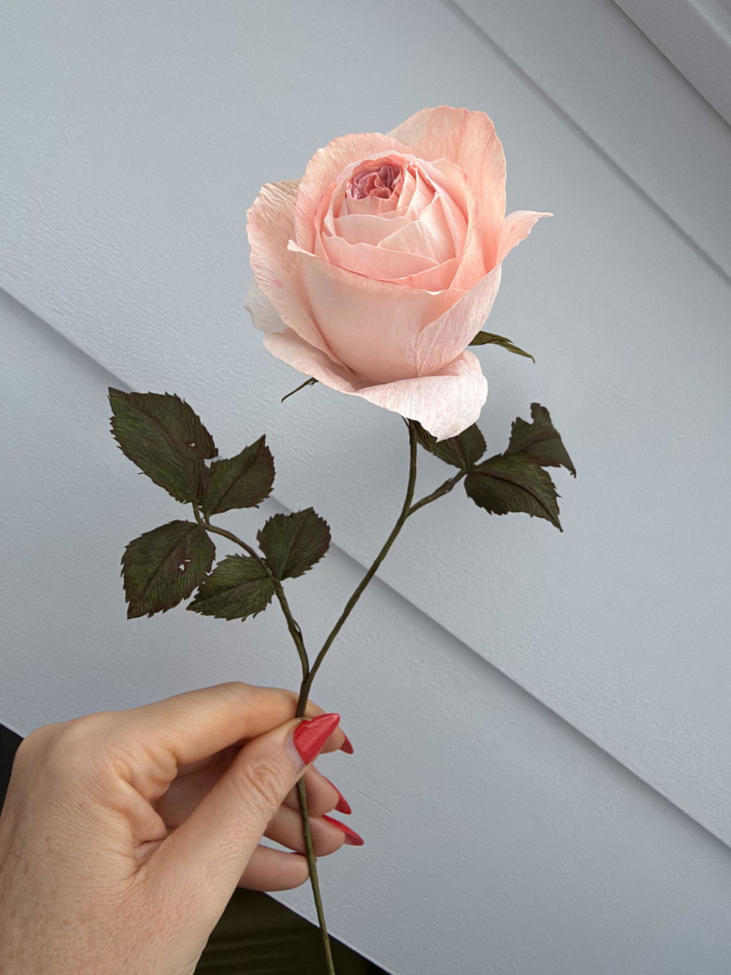 Engelsk rose opskrift - øvet