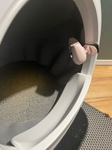 HighlanderMom review photo