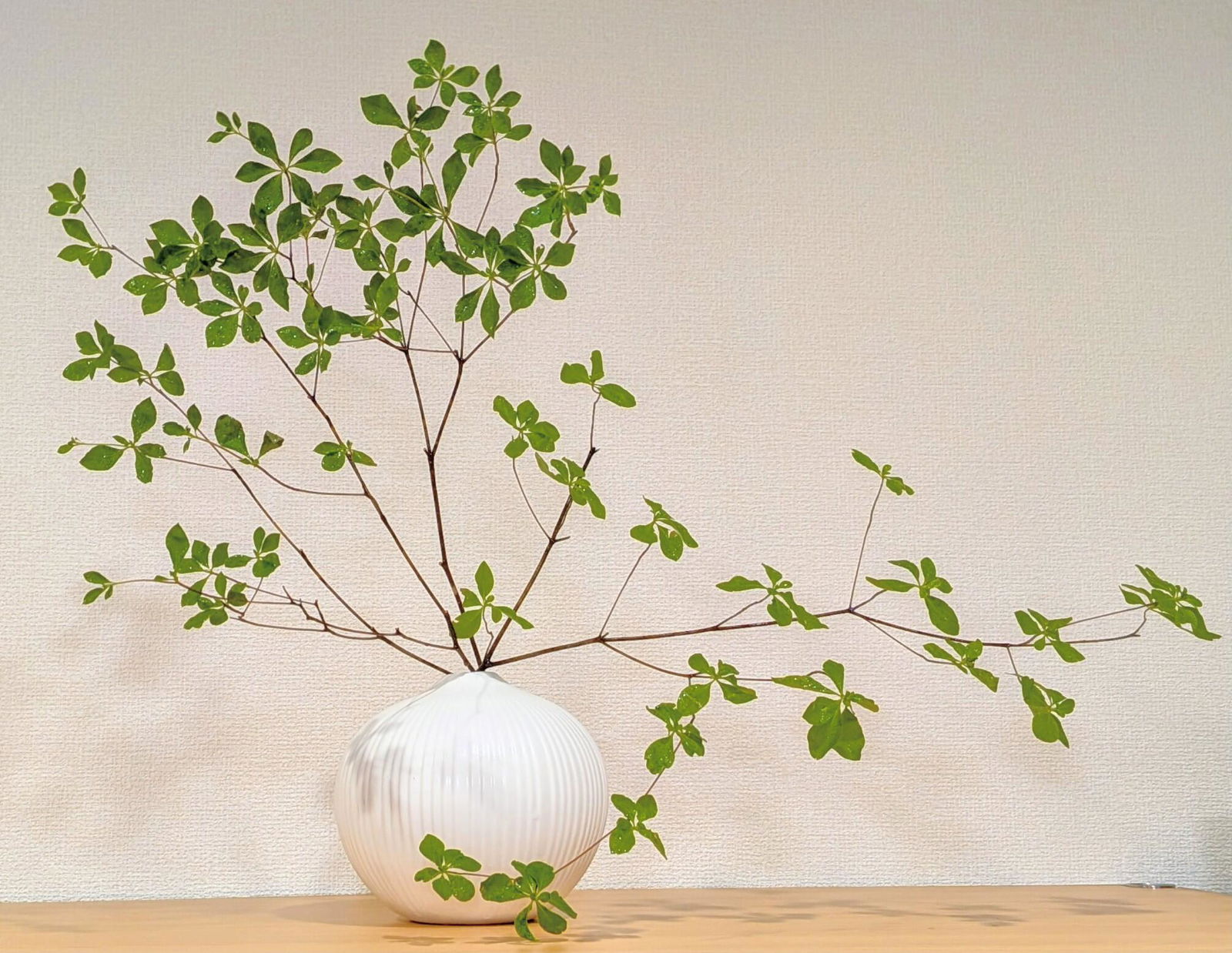 MASH ｜ まんまるフォルムのマットな花器