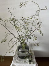 山中祥子 review photo