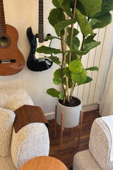 damla review photo
