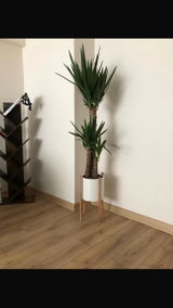Burak Aytekeli review photo