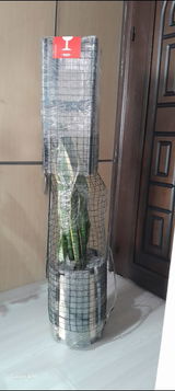 Yasemin K. review photo
