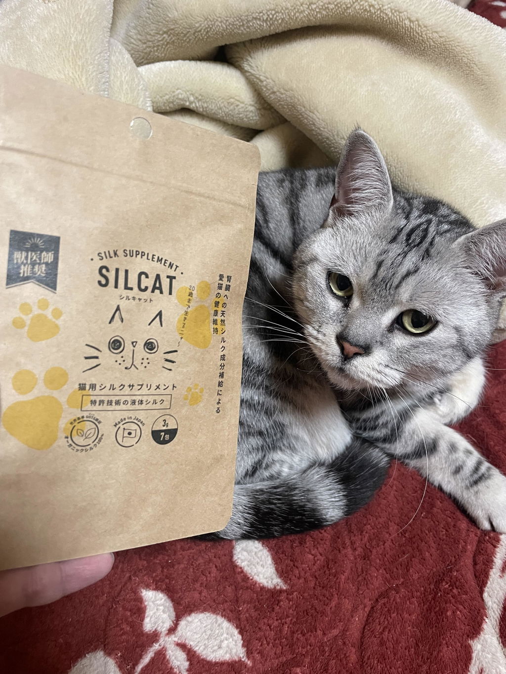 SILCAT シルキャット 猫用サプリ