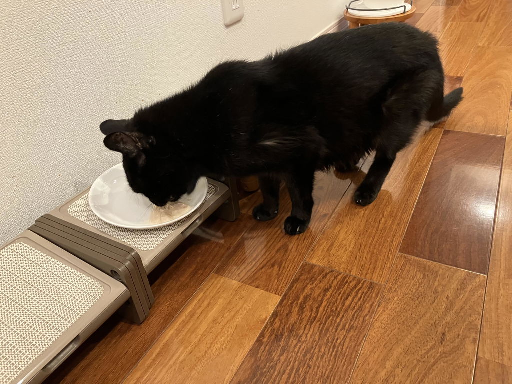 SILCAT 猫用プレミアムウェットフード（マグロ、チキン、カツオ） / 私も一緒に食べたい、本当においしいごはん。