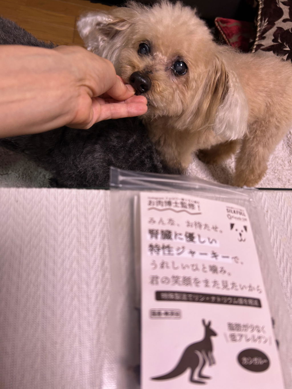 【公式オンライン数量限定】SILKFULL犬用特製ジャーキー