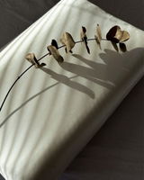agilbaeva_dlw review photo