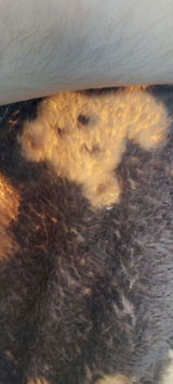 S. review photo