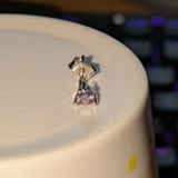 Max R. review photo
