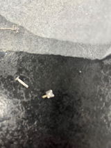 Lesley review photo