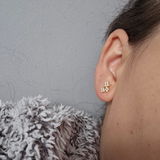 Mariana T. review photo
