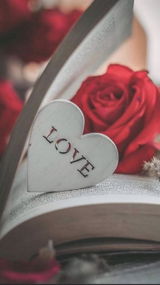 IVANKA PANAYOTOVA review photo