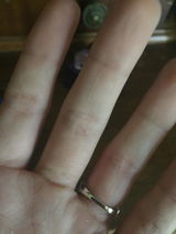 Sophia review photo