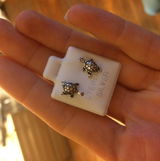 MillieHills review photo