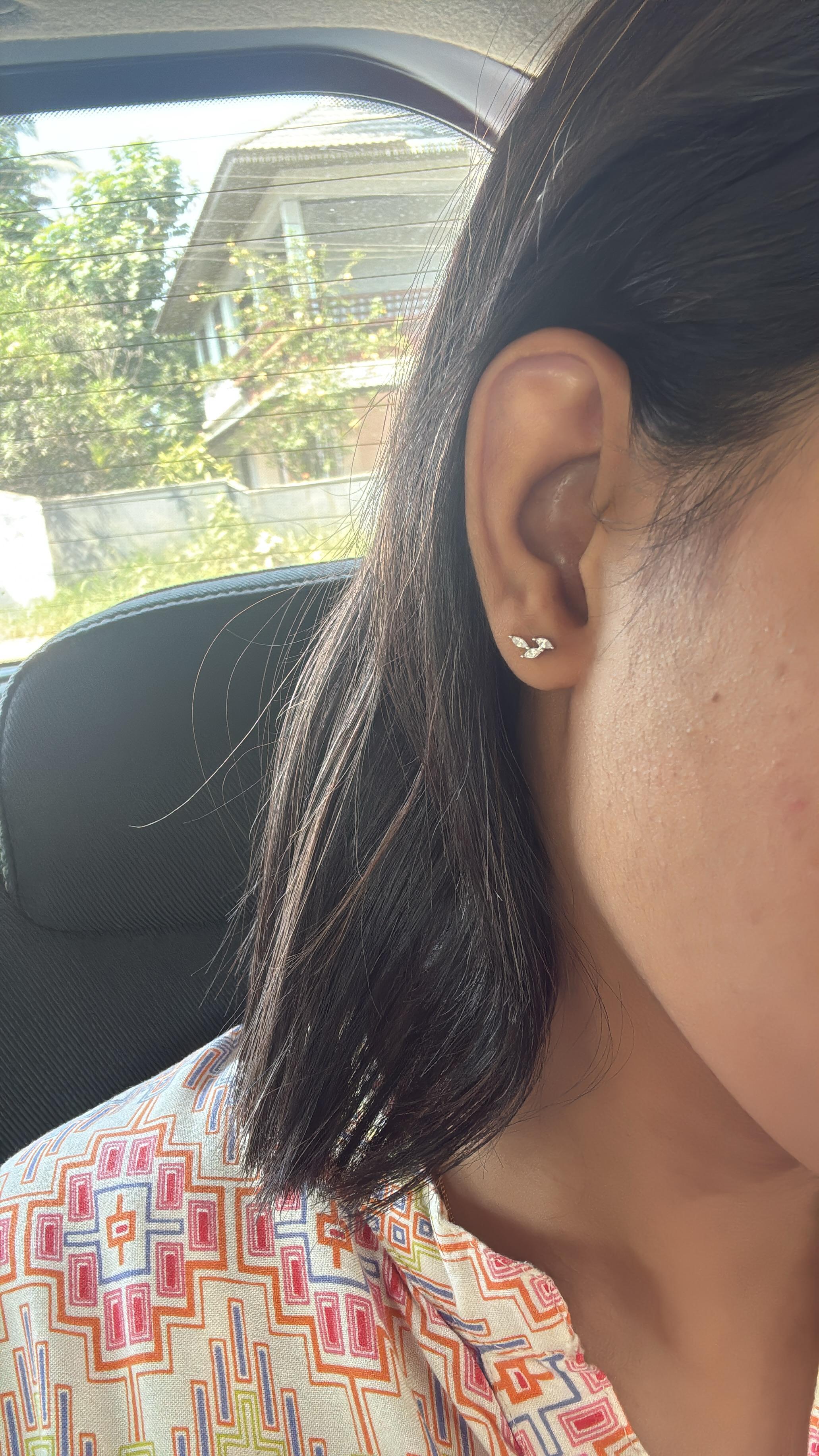 Lakshmi P review photo