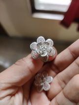 Pradnya review photo