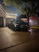 Rex S review photo