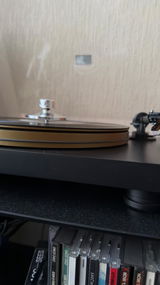 Wardy review photo