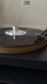 Wardy review photo