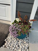 Mandy G. review photo
