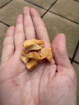 Shelby Breck review photo