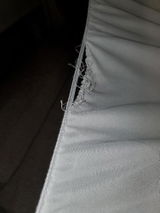 Enzo C. review photo