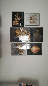 Contreras Philip review photo