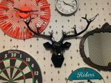 Kelly Jimenez review photo