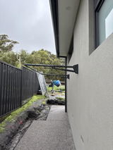 Dianne Forster review photo
