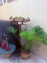 Shobhana Pandey review photo