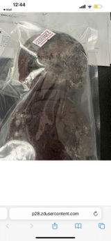 Karima S. review photo