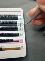 Lisa Tao review photo