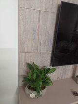 Prerna Nandwani review photo