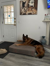 Karen Weninger review photo