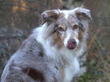 Pauline B. review photo