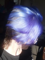 Bre review photo